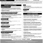 DZABIST faculty jobs